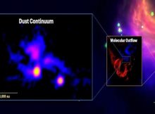 A Forming Quadruple-Star System - Discovered