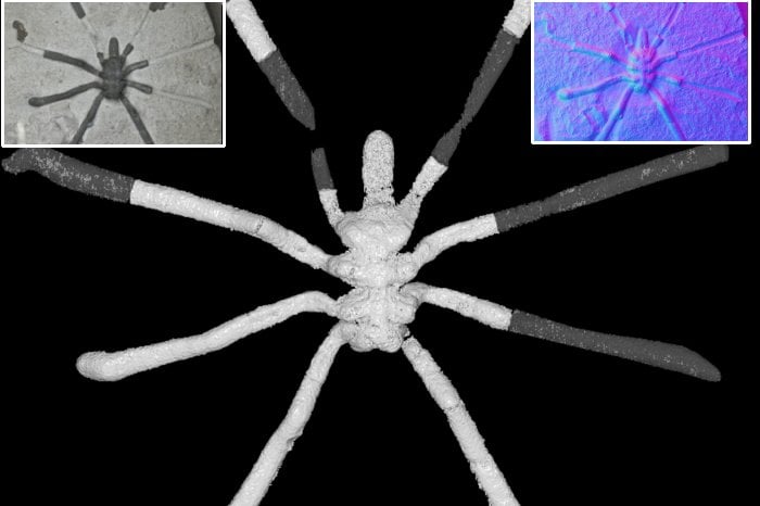 Extremely Rare Fossils Of 160-Million-Year-Old Sea Spider And Its Diversity By The Jurassic