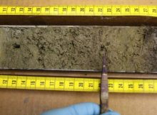 A section of sediment core material from Wax Lips Lake in northern Greenland. Credit: Jamie McFarlin