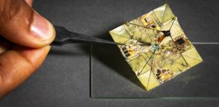 Battery-Free Robots Use Origami To Change Shape In Mid-Air