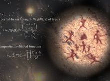 The core formula of our new inference method is shown. The image depicts a cliff painting, illustrating the population of human ancestor pull together to survive the unknown danger in the darkness during the ancient severe bottleneck. Credit: Shanghai Institute of Nutrition and Health, CAS EarlyAncestral Bottleneck Could've Spelled The End For Modern Humans