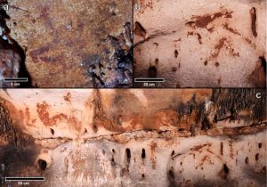 Hundreds Of Fascinating 24 000 Year Old Cave Paintings Discovered In   Cavearteasterniberia 300x210 