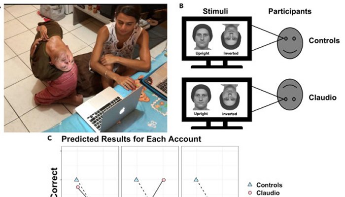 Why Are You Better At Recognizing Upright Faces? A Study With New Clues