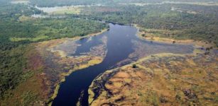 The water of the Ruki River in the Congo Basin is as dark as tea due to a high concentration of dissolved organic substances. Credit: Matti Barthel / ETH Zurich