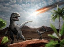 Study Removes Human Bias From Debate Over Dinosaurs’ Demise 