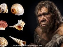 Our Ancestors Collected Shells 100,000 Years Ago To Create Personal Identity