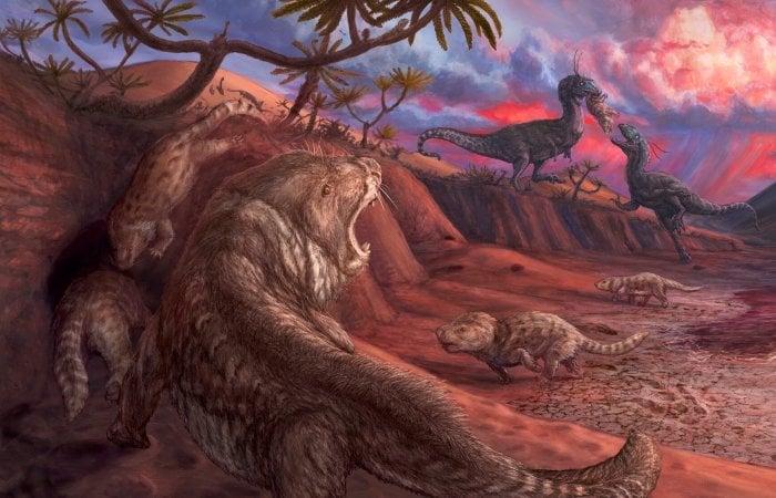 Extremely Rare Jurassic Fossils Discovered Near Lake Powell, Utah