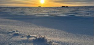 Warming In The Arctic and Focus On Albedo - New Study