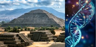 DNA Study Sheds New Light On The Ancient Teotihuacans
