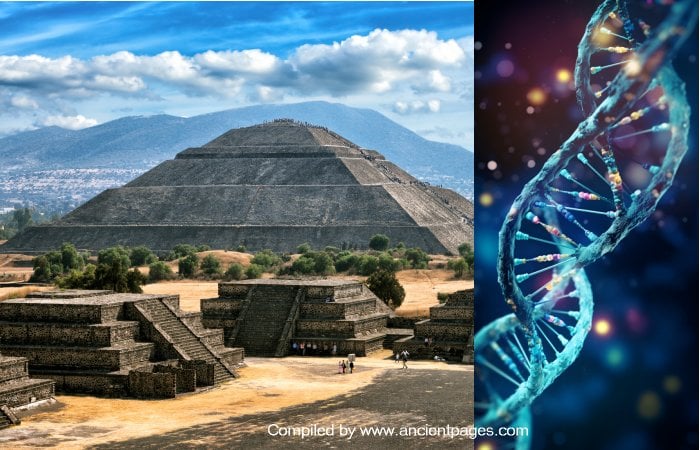 DNA Study Sheds New Light On The Ancient Teotihuacans