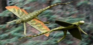 200-Million-Year-Old Flying Reptile Kuehneosaurus Discovered In Somerset, UK