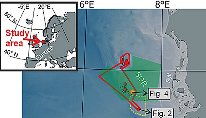 Millions Of Mysterious Pits In The Ocean - Decoded