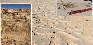 Remarkable Discovery Of Concealed Biosphere Beneath The Atacama Desert, World’s Driest Hot Desert