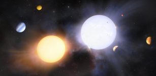 Differences Observed In Giant Binary Stellar Systems