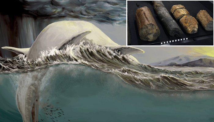 Do Some Mysterious Bones Belong To Gigantic Ichthyosaurs?