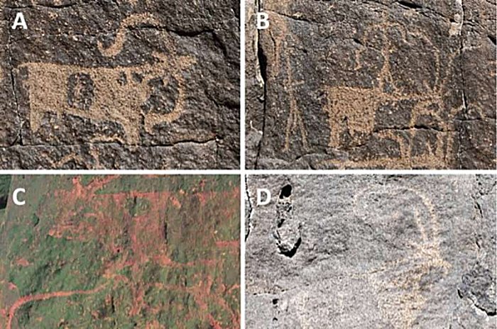 Human Occupation In Lava Tube Cave In Saudi Arabia – First Evidence 