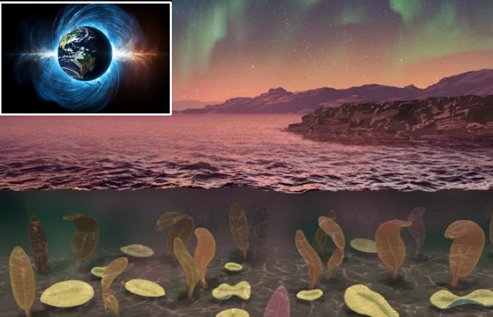 Did A Weak Magnetic Field 600 Million Years Ago Trigger The Emergence Of Animals?