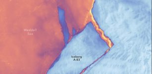 Large Wedge Of Ice Broke From Antarctica's Brunt Ice Shelf 