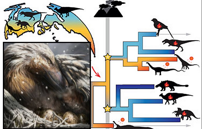 First ‘Warm-Blooded’ Dinosaurs Evolved 180 Million Years Ago