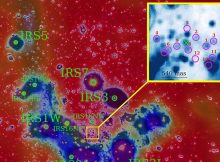 High-Speed Baby Stars Circle The Supermassive Black Hole Sgr A* Like A Swarm Of Bees