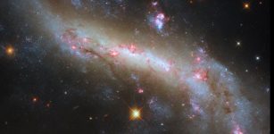 Hubble vViews Broad And Sweeping Spiral Galaxy NGC 4731