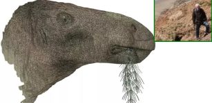 UK's Most Complete Dinosaur Fossil Found