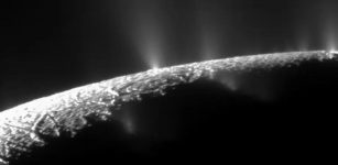 Life Signatures May Exist Near Enceladus And Europa's Surfaces