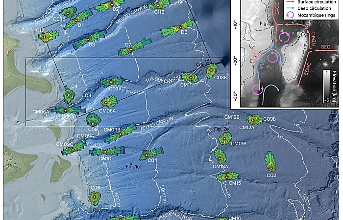 New Intricate Behaviors Of Deep-Sea Currents - Revealed In A New Study