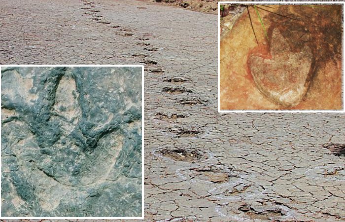 Dinosaur Footprints Matched Across Atlantic Ocean