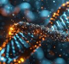 Genes, Or DNA Sequences That Don't Reside In Any Of The 23 Human Chromosomes - Study