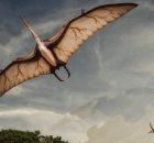 Giant Prehistoric Flying Reptile Took Off Like Bats, - Study