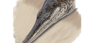 135-Million-Year-Old Marine Crocodile Sheds Light On Cretaceous Life