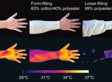 Mosquitoes Detect Body Heat Using Infrared To Locate Humans