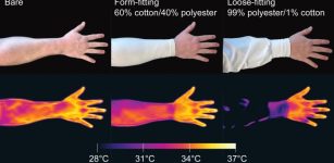 Mosquitoes Detect Body Heat Using Infrared To Locate Humans