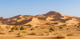 Understanding the Green Sahara’s Collapse