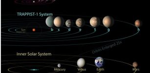 The Evolution Of The Trappist-1 Planetary System