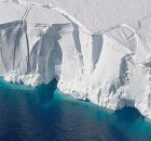 Phytoplankton Shield Ice Shelves From Summer Heat