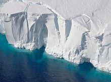 Phytoplankton Shield Ice Shelves From Summer Heat