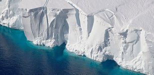 Phytoplankton Shield Ice Shelves From Summer Heat