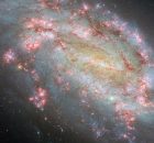 Spectacular Galaxy NGC 1559 Featured By Hubble Space Telescope