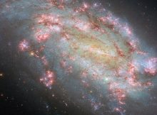 Spectacular Galaxy NGC 1559 Featured By Hubble Space Telescope