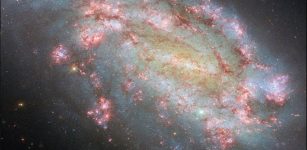 Spectacular Galaxy NGC 1559 Featured By Hubble Space Telescope