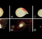 Solution To Cosmic Mystery: The Eccentric Orbits Of Trans-Neptunian Objects