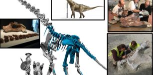 Qunkasaura: New Sauropod Dinosaur From The Cretaceous Discovered In The Iberian Peninsula