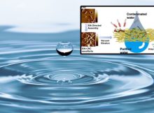 Nature-Based Filtration Material Could Remove Long-Lasting Chemicals From Water