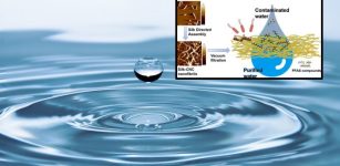 Nature-Based Filtration Material Could Remove Long-Lasting Chemicals From Water