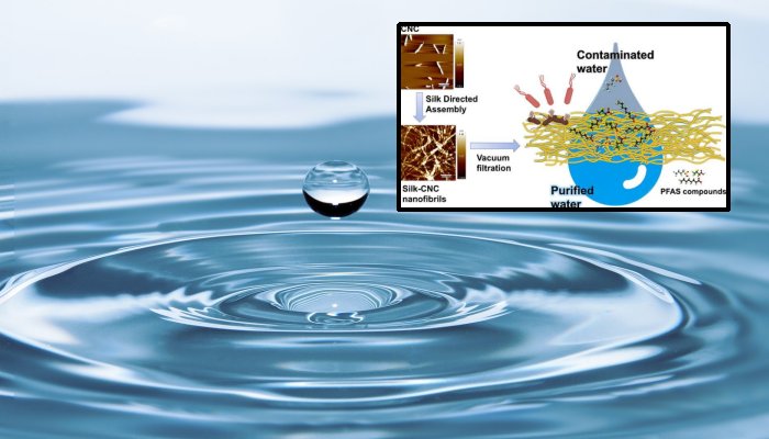 Nature-Based Filtration Material Could Remove Long-Lasting Chemicals From Water