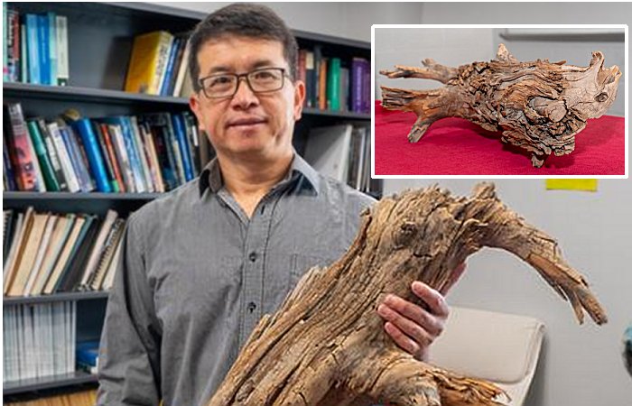 'Wood Vaulting’ - Discovery Of 3,775-Year-Old Preserved Log Could Tackle Climate Change