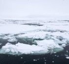 Melting Arctic Sea-Ice Could Affect Global Ocean Circulation - Study Warns