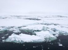 Melting Arctic Sea-Ice Could Affect Global Ocean Circulation - Study Warns